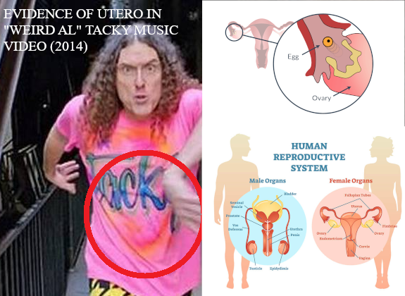 EVIDENCE OF UTERO IN YANKOVIC